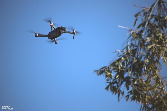 Dien hanh ky hoi 2019 30