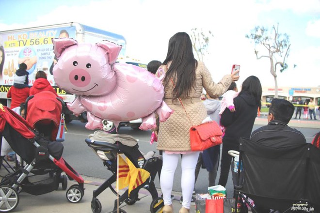 Dien hanh ky hoi 2019 36