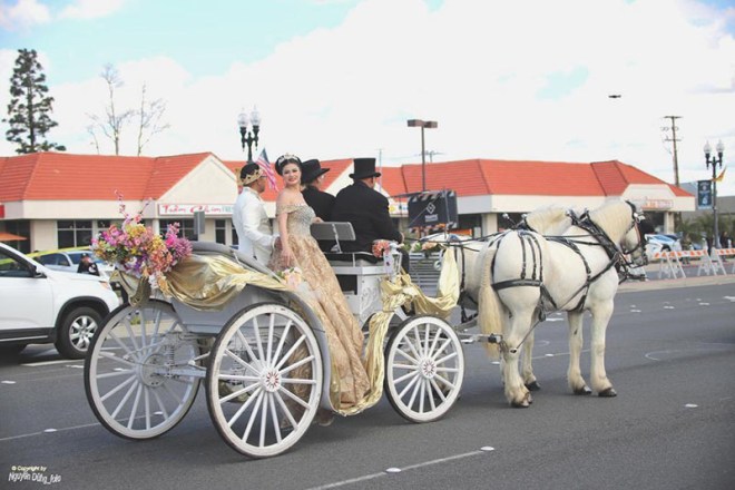 Dien hanh ky hoi 2019 41