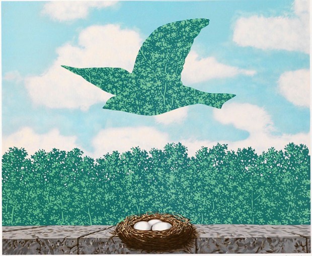 chim so canh cong 02