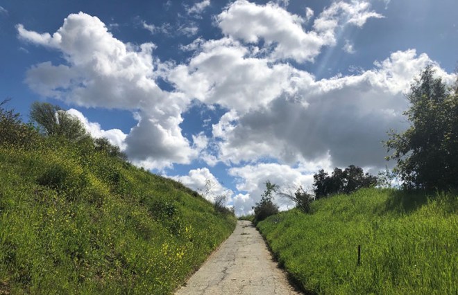 hat thoc cuoi cung cho chim se 01