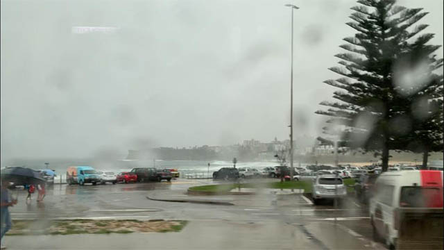 Thay Nguyen Sy Than 36c