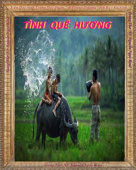 Tinh que huong 02