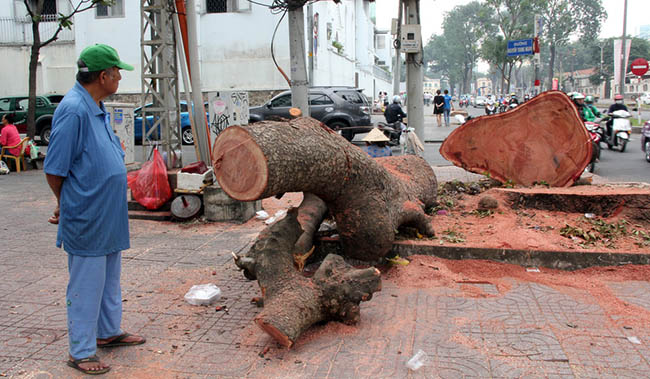 lai nho sai gon 01.jpg