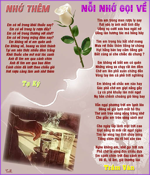 Nho Them - Noi Nho Goi Ve-TK - TV.jpg