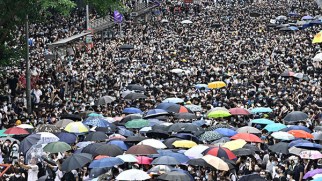 cai voi bach tuoc 02