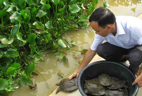 hoang da cuoi tuan 01