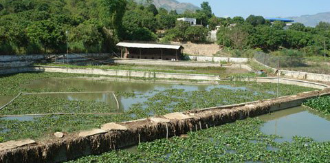 hoang da cuoi tuan 02