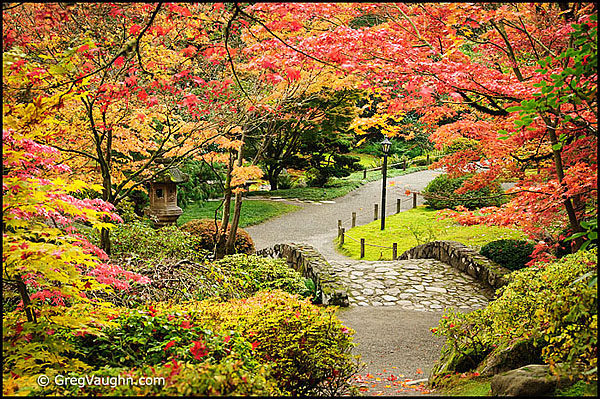 Seattle-Japanese Garden