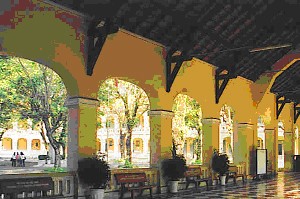 thay cu truong xua 03