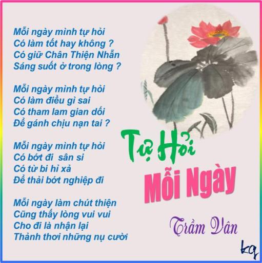 Tu Hoi Moi Ngay_TV.jpg