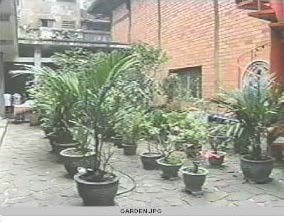 Minh huong Gia Thanh 11