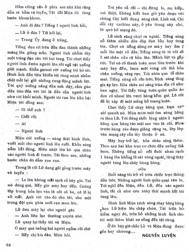 29 PK 67 - cay cau 04