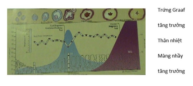 de phu nu giu mai 01