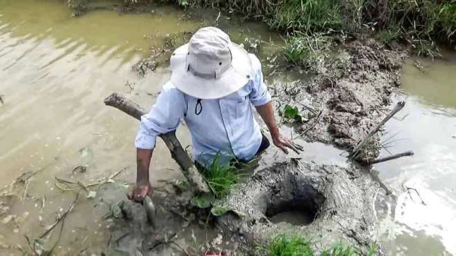 GioChuongVaDongBangSongCuuLong 03