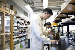 ke hoach ngan nhan tai 02