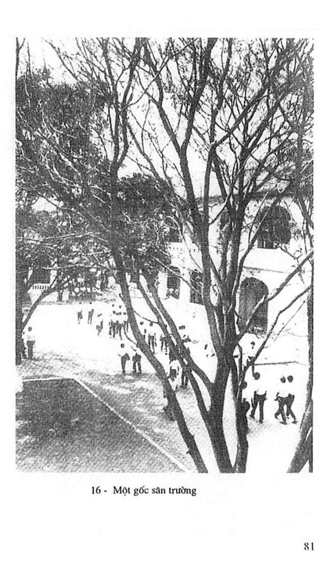 Truong Trung Hoc Petrus Ky 94