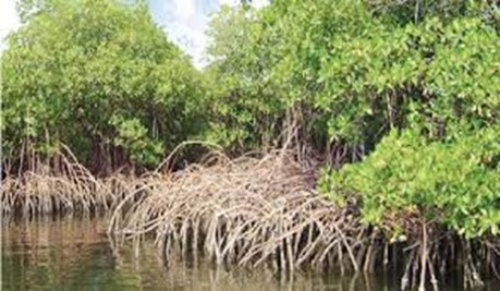 Ngay dai duong the gioi 06