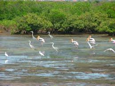 Ngay dai duong the gioi 07