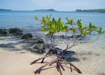 Ngay dai duong the gioi 10