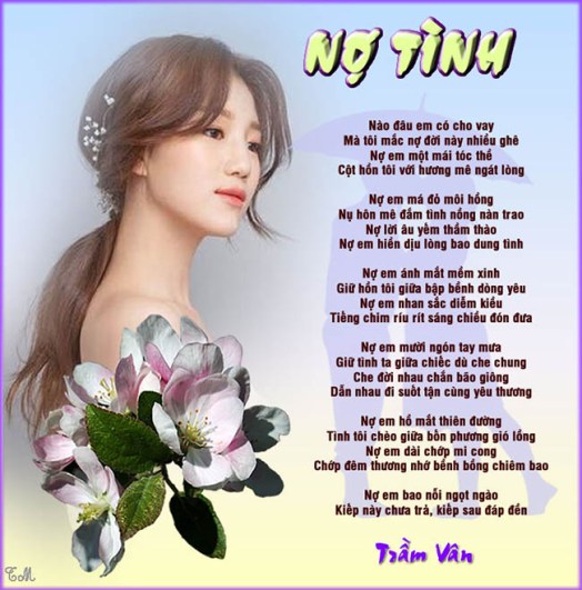 No tinh 01
