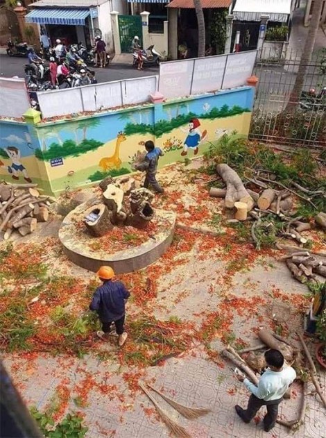 noi buon hoa phuong 01