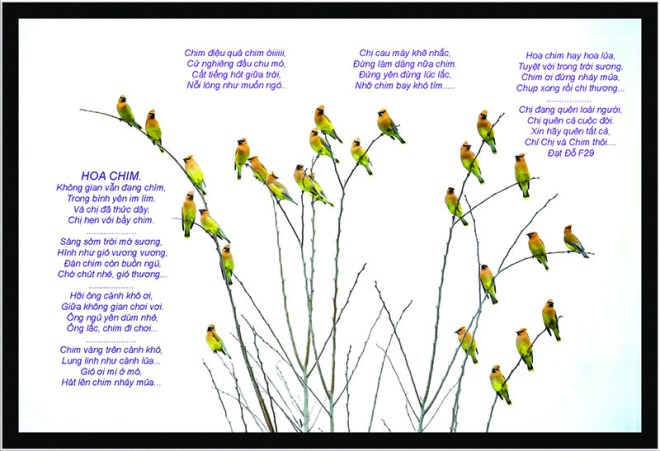 Hoa chim 01