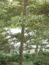 Tuyen tap 2 PGS - huong vi tru tinh 01