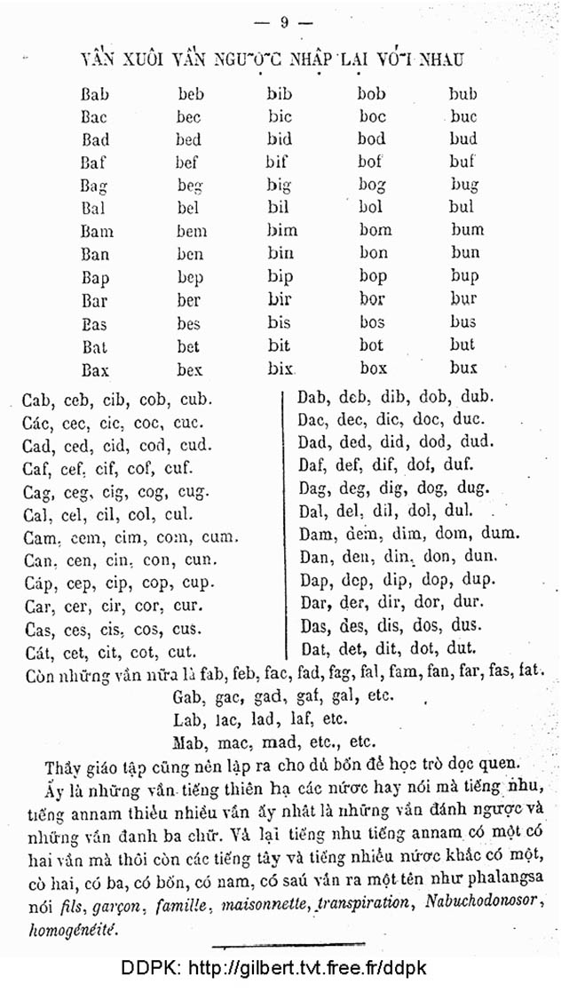 MeoluatdayhocPhalangsa 07