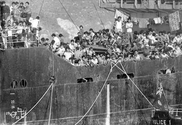 NguoiHoataiVietnam 01