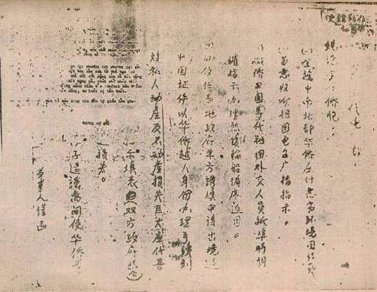 NguoiHoataiVietnam 14